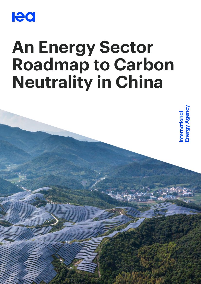 中国能源领域的碳中和路线图.pdf