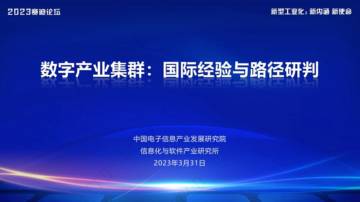 赛迪智库：数字产业集群：国际经验与路径研判.pdf