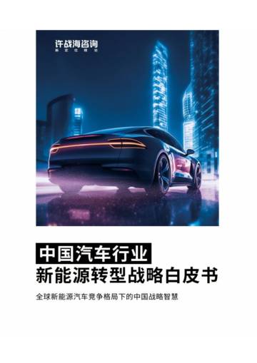 许战海咨询：2023中国汽车行业新能源转型战略白皮书.pdf