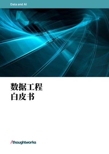 思特沃克：2023数据工程白皮书.pdf