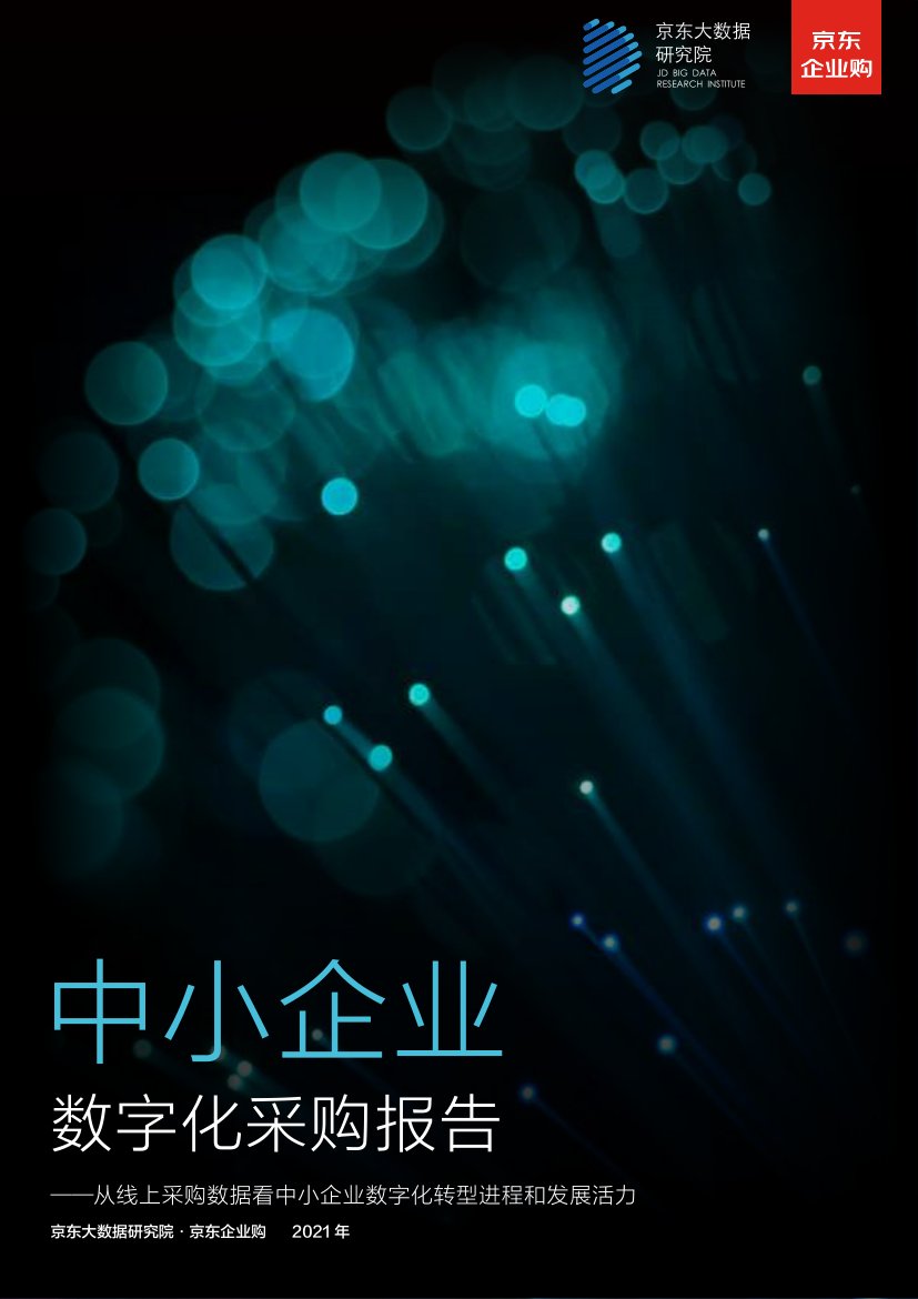 2021年中小企业数字化采购报告.pdf