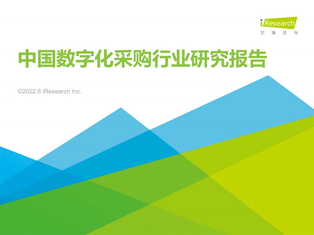 数字化采购行业研究报告.pdf