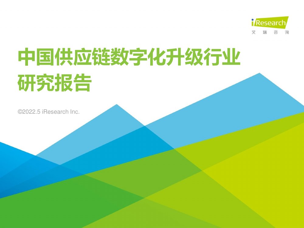 中国供应链数字化升级行业研究报告.pdf
