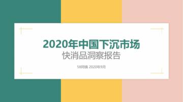 2020年中国下沉市场快消品洞察报告.pdf