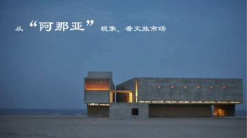 从“阿那亚”现象看文旅市场.pdf