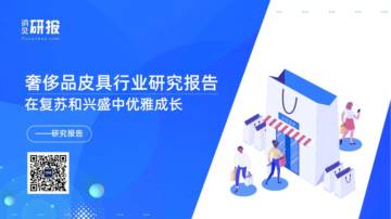 洞见研报：奢侈品皮具行业研究报告.pdf