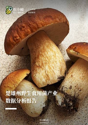 农小蜂：2023楚雄州野生食用菌产业数据分析报告.pdf