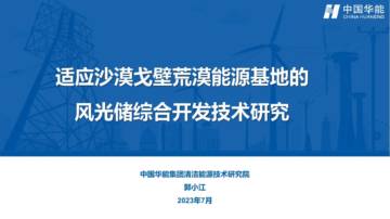 适应沙漠戈壁荒漠能源基地的风光储综合开发技术研究.pdf
