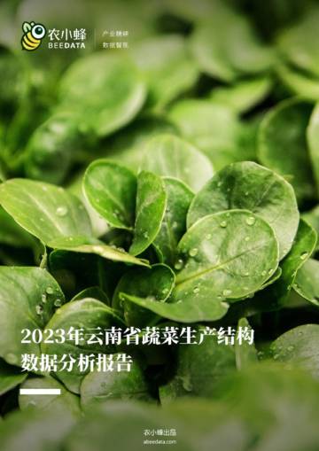 农小蜂：2023年云南省蔬菜生产结构数据分析报告.pdf
