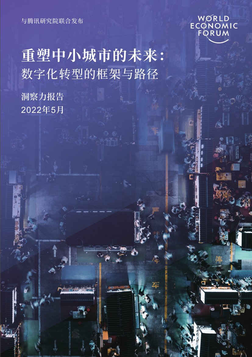 重塑中小城市的未来：数字化转型的框架与路径.pdf