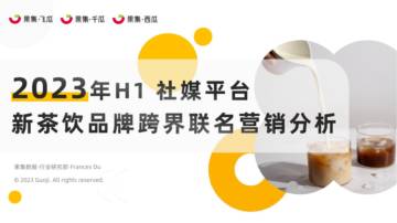果集：2023年H1新茶饮品牌跨界联名营销分析.pdf