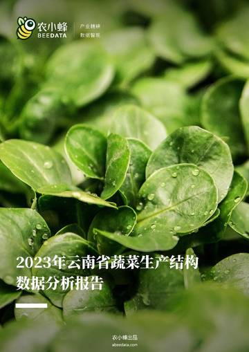 2023年云南省蔬菜生产结构数据分析报告.pdf