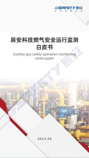 辰安科技：燃气安全运行监测白皮书.pdf
