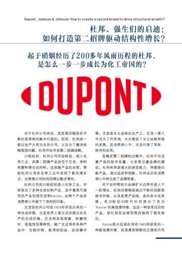 许战海咨询：杜邦、强生们的启迪：如何打造第二招牌驱动结构性增长？.pdf