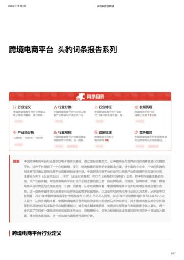 2023跨境电商平台词条报告系列.pdf