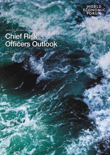 WEF_Chief_Risk_Officers_Outlook_2023.pdf