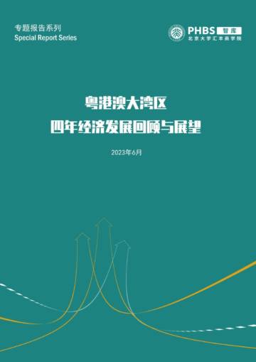 北大汇丰智库：粤港澳大湾区四年经济发展回顾与展望.pdf