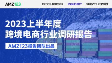 2023跨境电商行业调研报告.pdf