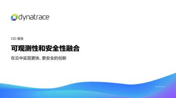 灵迹软件：2023年全球CIO报告：CIO面临在更复杂的环境中加快创新的压力.pdf