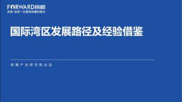 前瞻产业研究院：国际湾区发展路径及经验借鉴.pdf