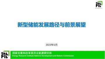 国家发改委能源所：新型储能发展路径与前景展望.pdf