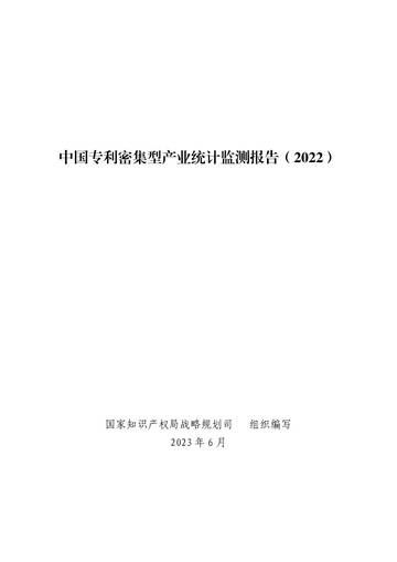 国家知识产权局：中国专利密集型产业统计监测报告（2022）.pdf