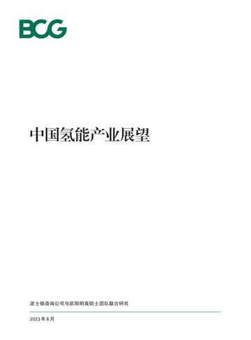 中国氢能产业展望.pdf