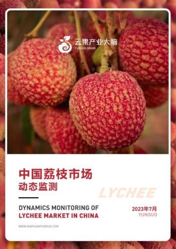 云果：中国荔枝市场动态监测（2023年7月）.pdf