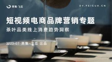 2023年茶叶品类线上消费趋势洞察.pdf