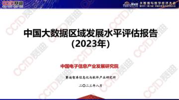 中国电子信息产业发展研究院：中国大数据区域发展水平评估报告（2023年）.pdf