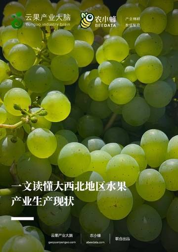 农小蜂：一文读懂大西北地区水果产业生产现状.pdf