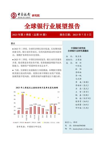 中国银行：全球银行业展望报告.pdf