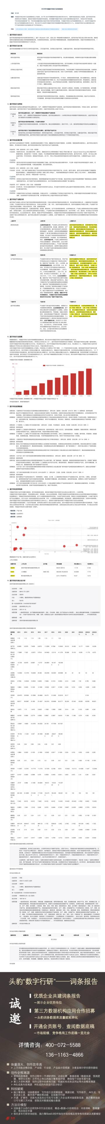 2023年中国蓝牙耳机行业词条报告.pdf