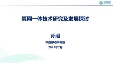 算网一体技术研究及发展探讨.pdf