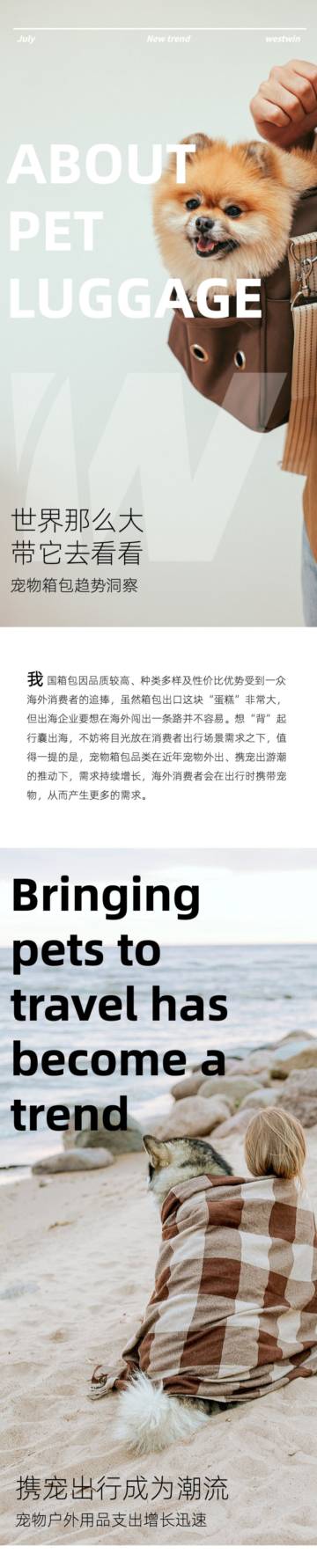 西窗科技：2023宠物箱包出海趋势洞察报告.pdf