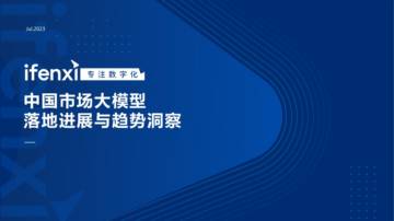 中国市场大模型落地进展与趋势洞察.pdf