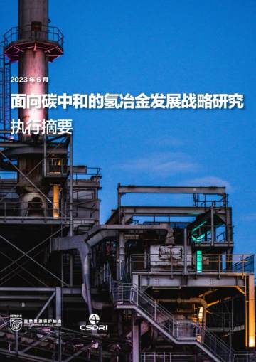 自然资源保护协会：面向碳中和的氢冶金发展战略研究.pdf