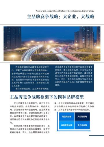 许战海咨询：永续增长的企业是如何炼成的-主品牌竞争战略研究的启示.pdf