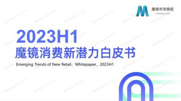 2023上半年7大热门行业消费潜力报告.pdf