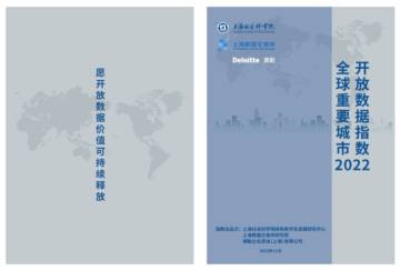 上海社会科学院：2022全球重要城市开放数据指数.pdf