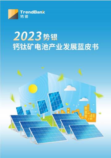 势银：2023势银钙钛矿电池产业发展蓝皮书.pdf