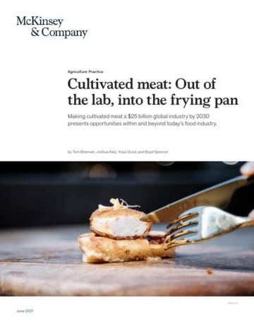 人造肉报告：走出实验室 进入餐桌.pdf