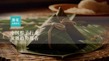 勤策消费研究：2023粽子行业发展趋势报告.pdf