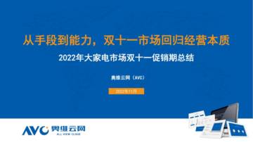 2022年双11大家电市场总结报告.pdf