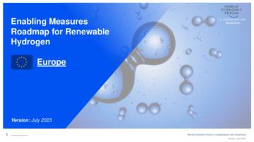 世界经济论坛：欧洲可再生氢的支持措施路线图.pdf