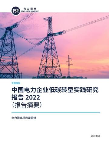 自然资源保护协会：中国电力企业低碳转型实践研究报告2022.pdf
