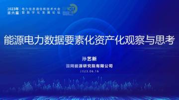 国网能源研究院有限公司：能源电力数据要素化资产化观察与思考.pdf