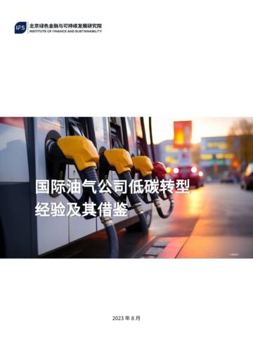 北京绿金院：国际油气公司低碳转型经验及其借鉴.pdf