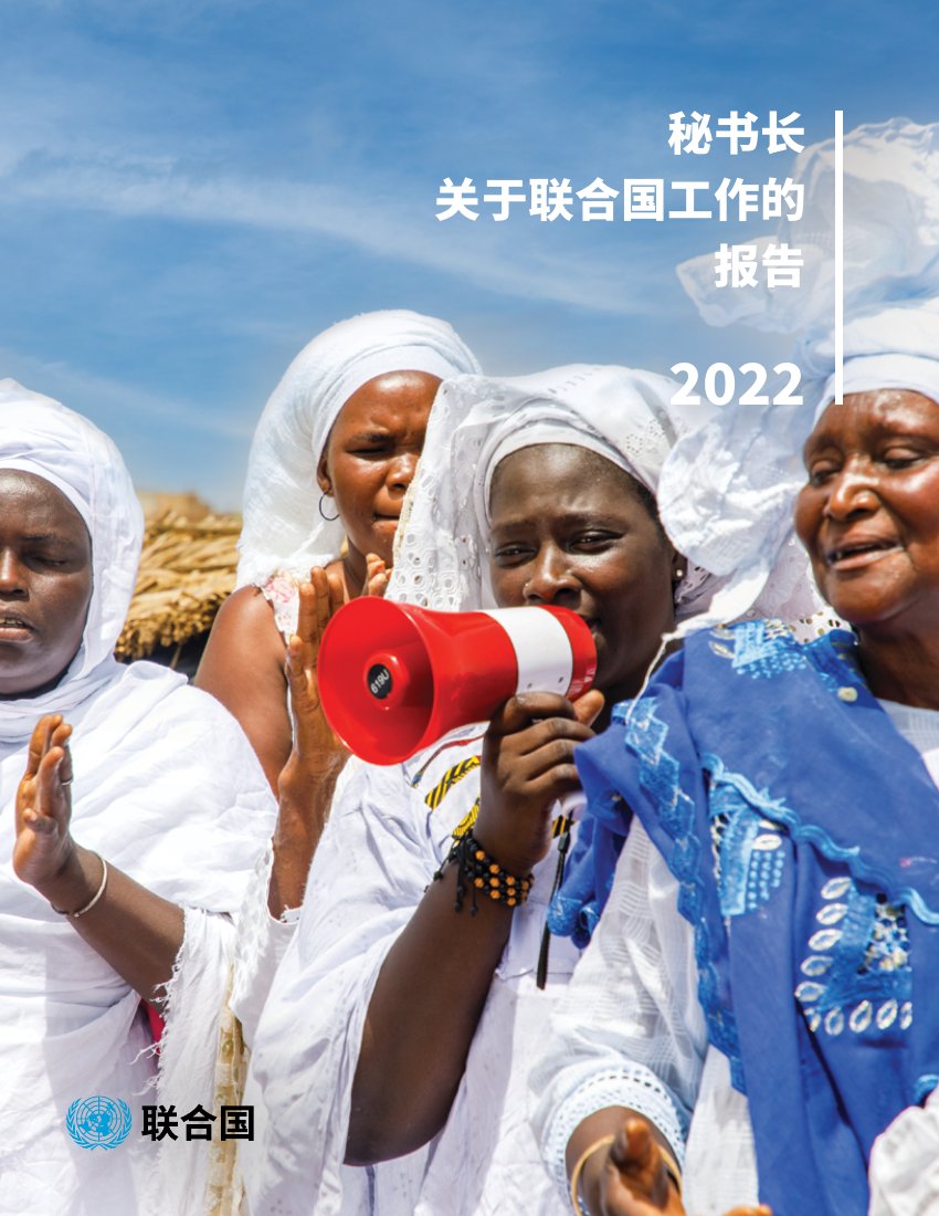2022年度联合国年度工作报告.pdf