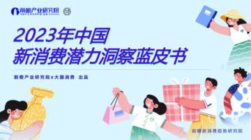 前瞻产业研究院&大国消费：2023年中国新消费潜力洞察蓝皮书.pdf